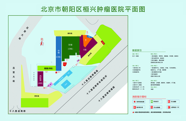 狂干日本浪逼水大逼嫩北京市朝阳区桓兴肿瘤医院平面图